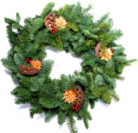 Christmas At Frank And Sal - Wall (480x454), Png Download