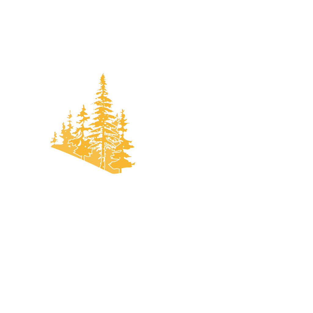 Logo (1024x1024), Png Download