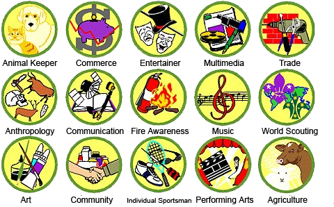 The Links Below Outline The Requirements For Many Of (490x305), Png Download