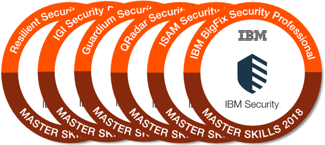 Badge Logo Graphic - Professional (675x303), Png Download