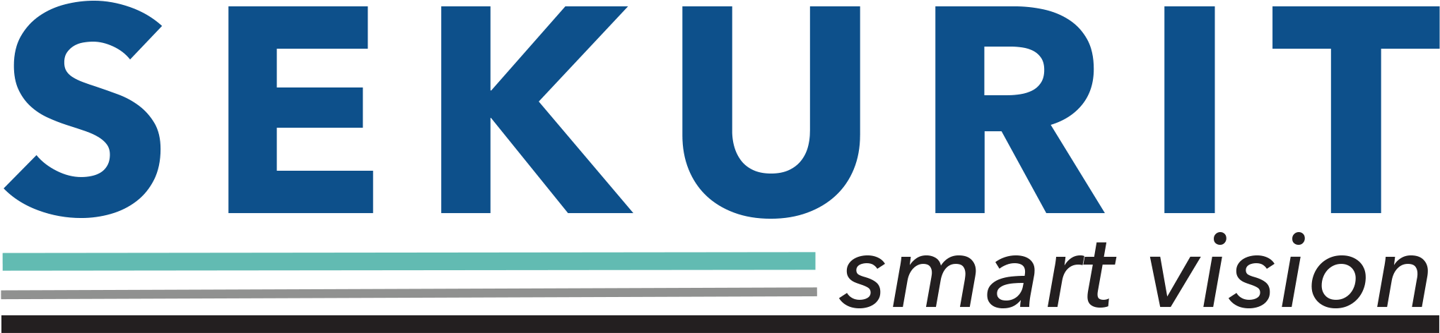 Saint-gobain Sekurit Logo - Sekurit (2930x917), Png Download