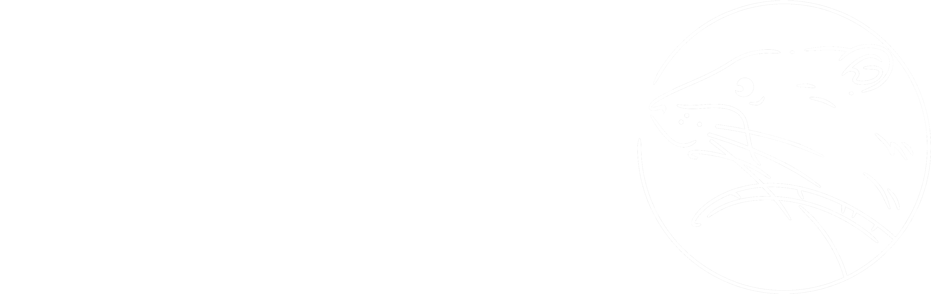 Developed With Support From - Choctaw Casino Logo Png (3321x1096), Png Download