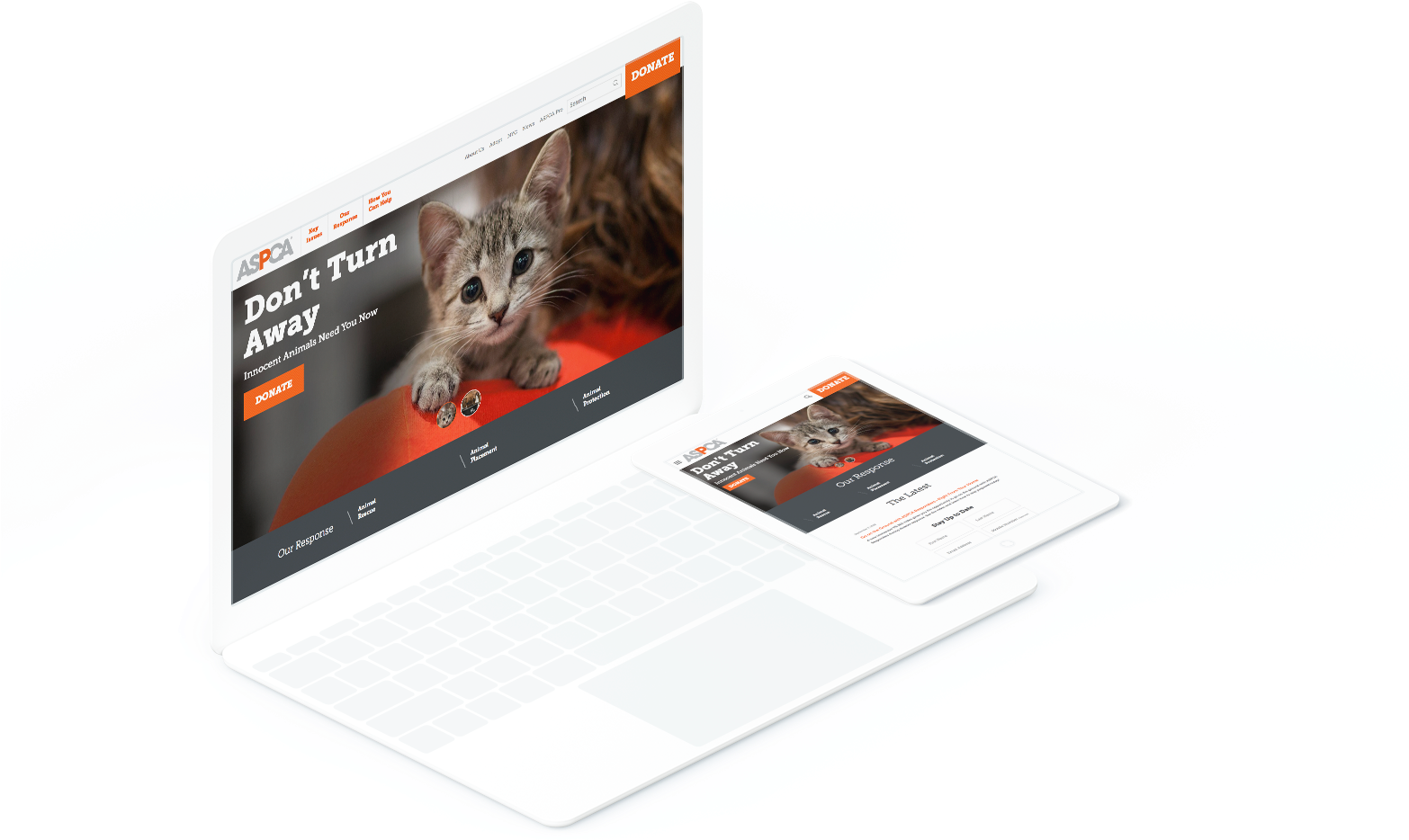 Main - Tablet Computer (1800x950), Png Download