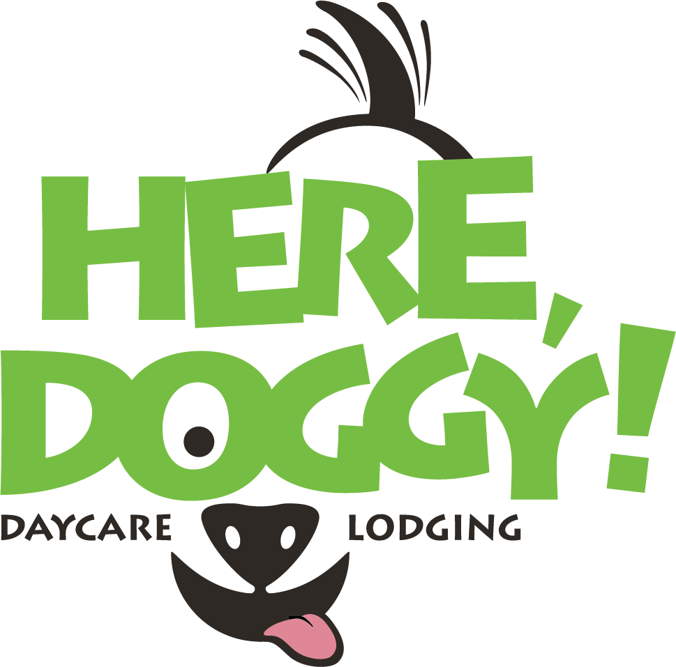 Here Doggy Logo - Illustration (969x957), Png Download
