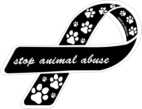 Download Animal - Stop Animal Abuse Png PNG Image with No Background -  