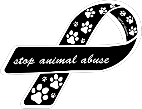 Download Animal - Stop Animal Abuse Png PNG Image with No Background - Download Animal - Stop Animal Abuse Png PNG Image with No Background -
