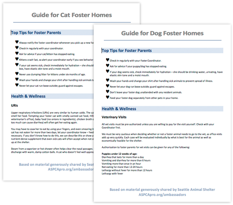 Customizable Guides For Cat & Dog Foster Homes - Pet Adoption (500x412), Png Download