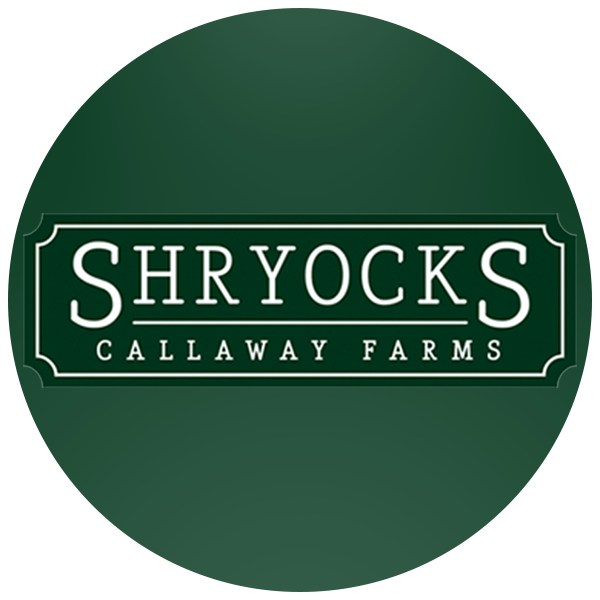 "dak And The Team At Hub & Spoke Did An Amazing Job - Circle (600x600), Png Download