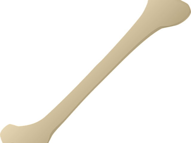 Bone Png Transparent Images - Kitchen Utensil (640x480), Png Download