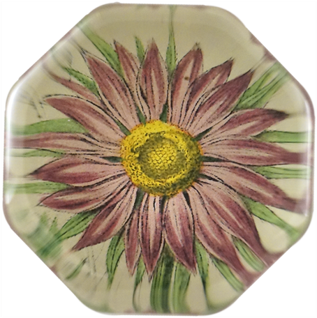 Pink Aster Pink Aster - Gazania (500x500), Png Download