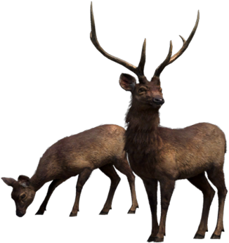 Far Cry - Far Cry 4 (350x358), Png Download