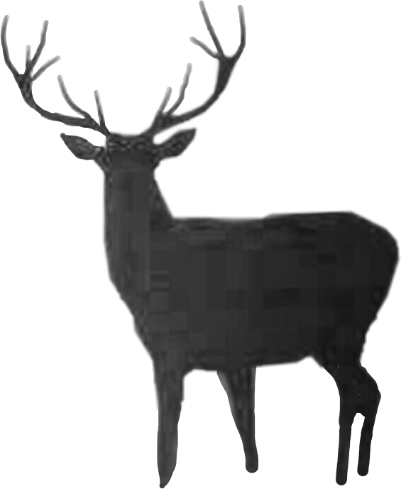 Deer (565x689), Png Download