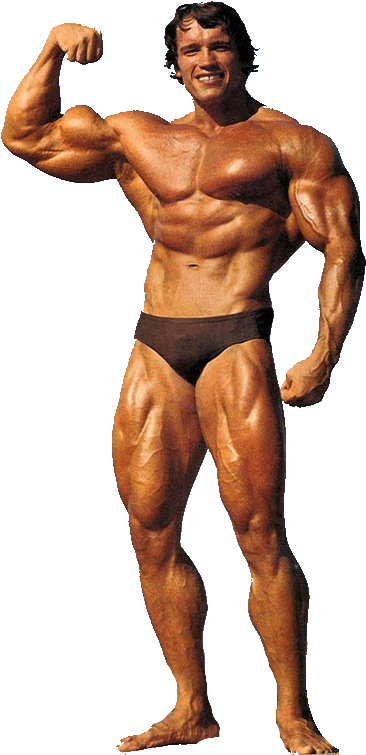 Arnold Png - Lou Ferrigno Dwayne Johnson (600x813), Png Download