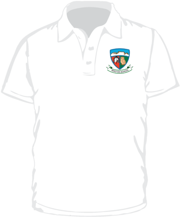 Skelton Polo Shirt - Polo Shirt (480x480), Png Download