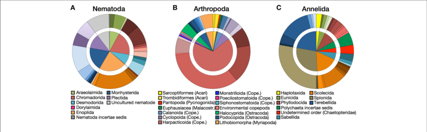 Proportions At Order And Family (outside Chart) Levels - Circle (850x263), Png Download