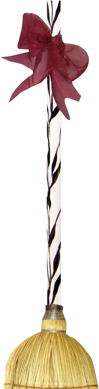 Broomstick Png Transparent Image - Poinsettia (850x768), Png Download