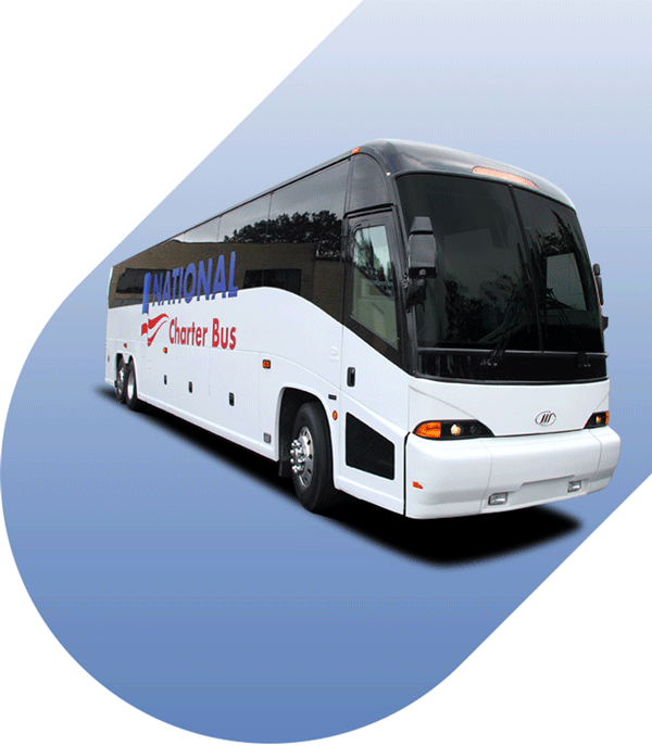 Want To Learn More About What To Expect When You Book - Road Transportation (600x687), Png Download
