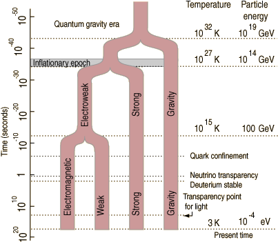 Proposed Energies And Temperatures Associated With - Fundamental Forces (428x362), Png Download