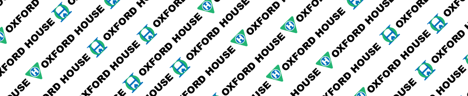 Ok Website Background 01 - Error Bar (960x198), Png Download