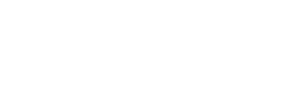 Kong - Portable Network Graphics (1000x385), Png Download