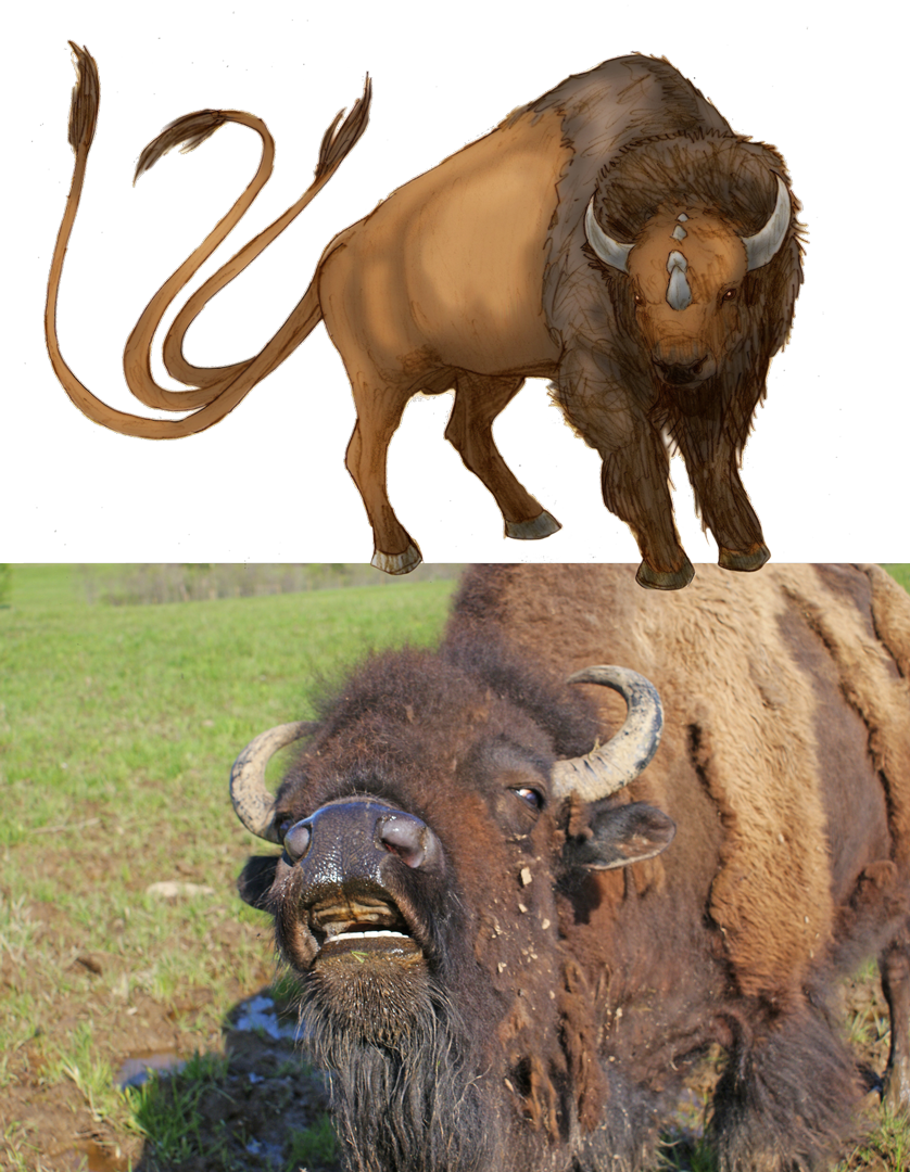 1080px Bison Tauros - Realistic Tauros (838x1080), Png Download