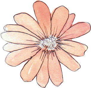 Daisy Tumblr Banner Download - Watercolor Flowers Tumblr Png (500x500), Png Download