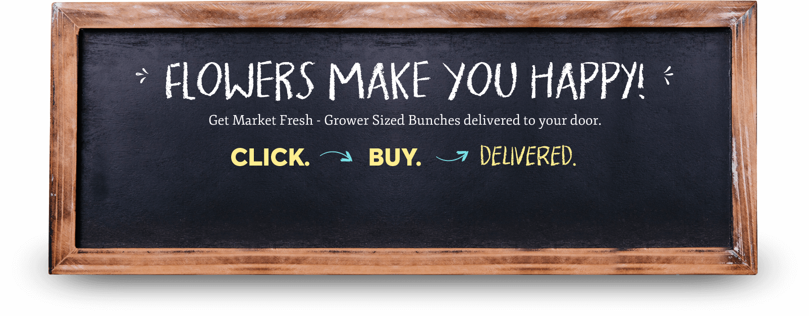 Flower Hub Top Banner - Flower (1603x626), Png Download