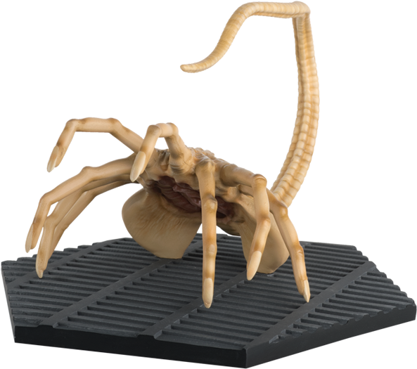Mega Aliens Facehugger Alien Free Transparent PNG Download PNGkey