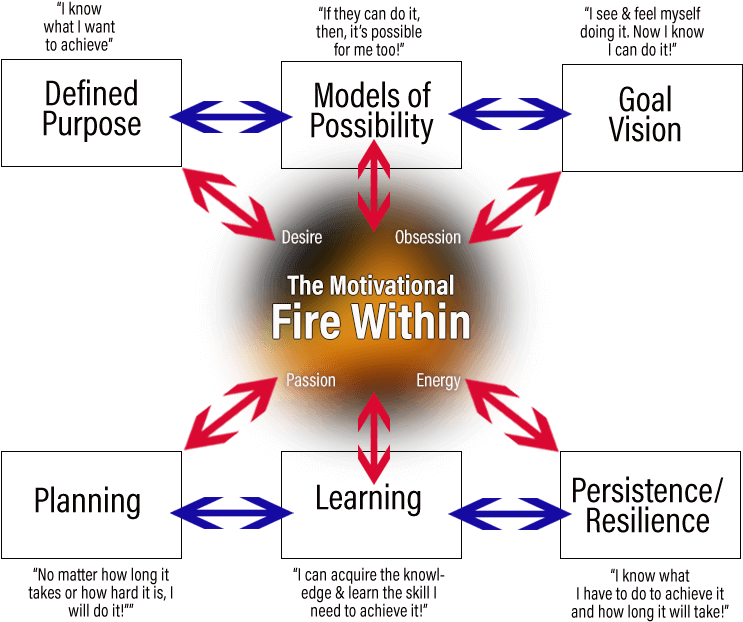 Self Discipline Model - Neuropsychology Of Self Discipline (780x652), Png Download