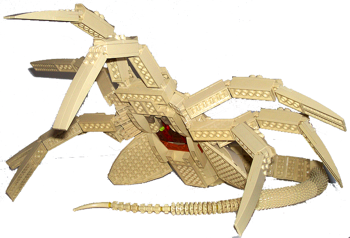 Insect (701x477), Png Download