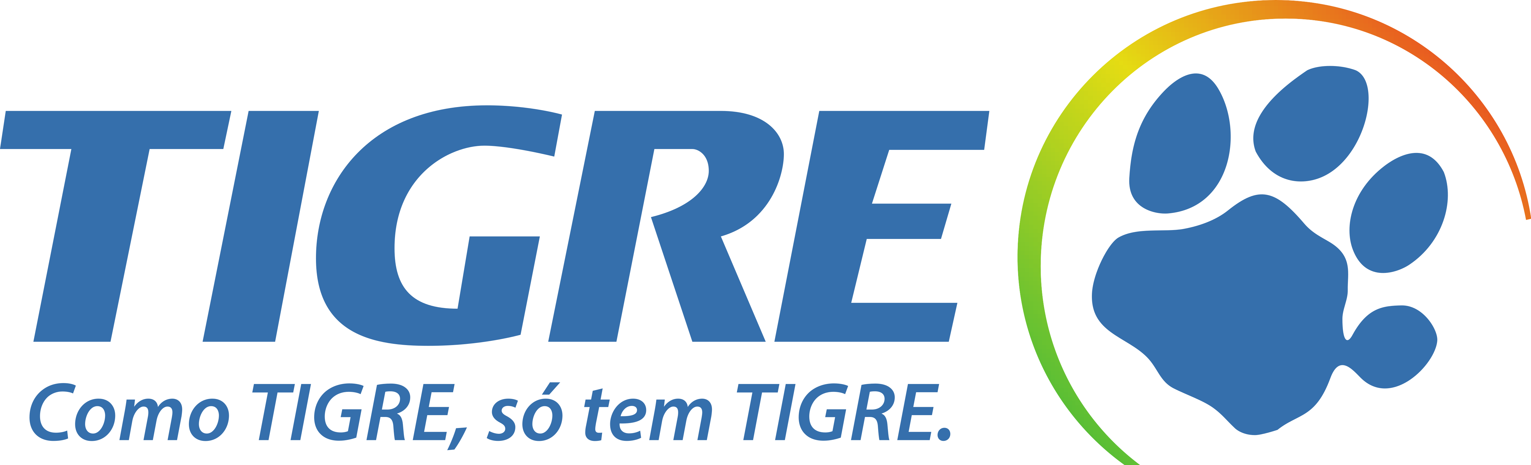 Tigre-logo 28 De Setembro De 2016 301 Kb 5000 × - Tigre Logo (5000x1520), Png Download