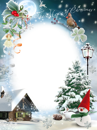 The Magic Of Christmas - New Year Greeting Cards 2012 (333x448), Png Download