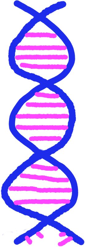 Cartoon Of Dna Helix - Dna In Cartoon (565x800), Png Download