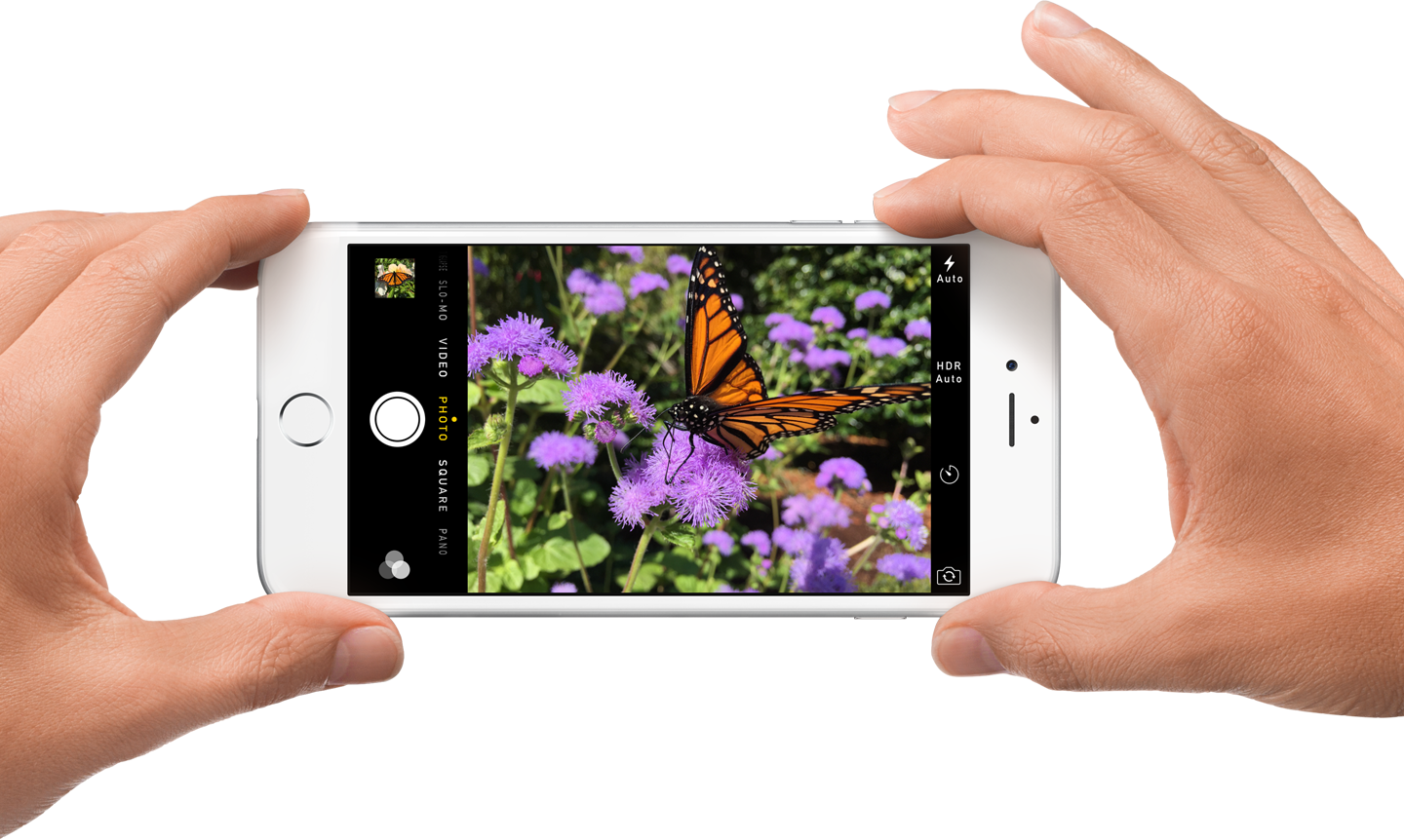 Automated Taxon Identification - Refurbished Iphone 6 Plus (64 Gb, Silver) (1440x862), Png Download