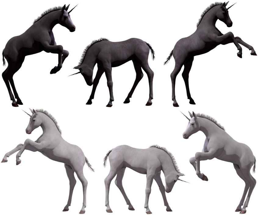 Unicorn, Foal, Colt, Filly, Young, Fantasy, Horse, - Foal (874x720), Png Download