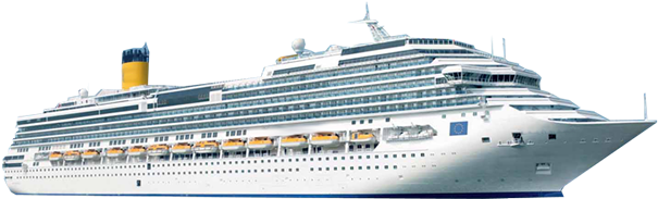 3 Black White Label Premium Plastic Flasks Liquor Rum (619x407), Png Download