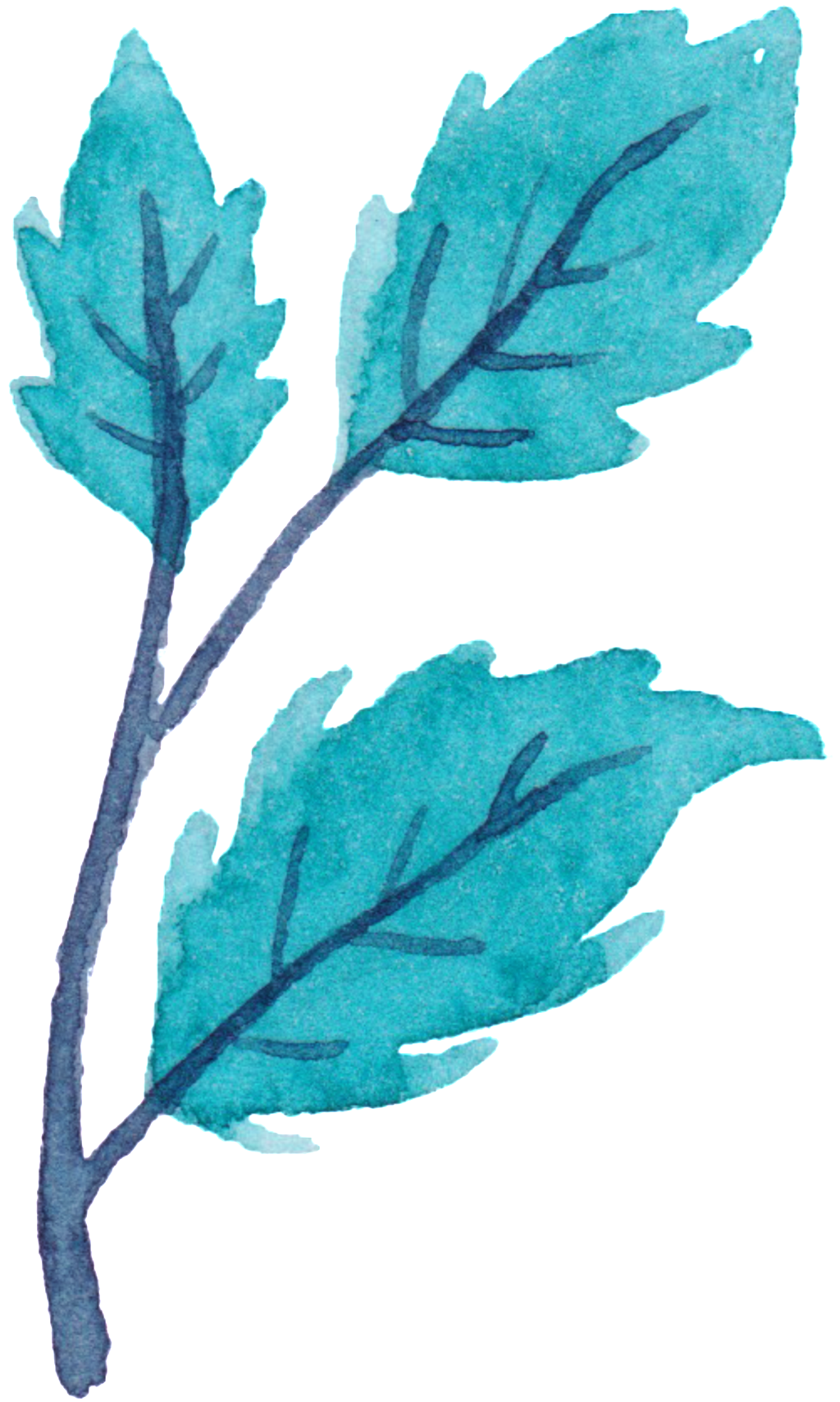 Fresh Leaves Decoratives - My Notebook: Unlined Notebook - Large (8. 5 X 11 Inches) (1024x1708), Png Download