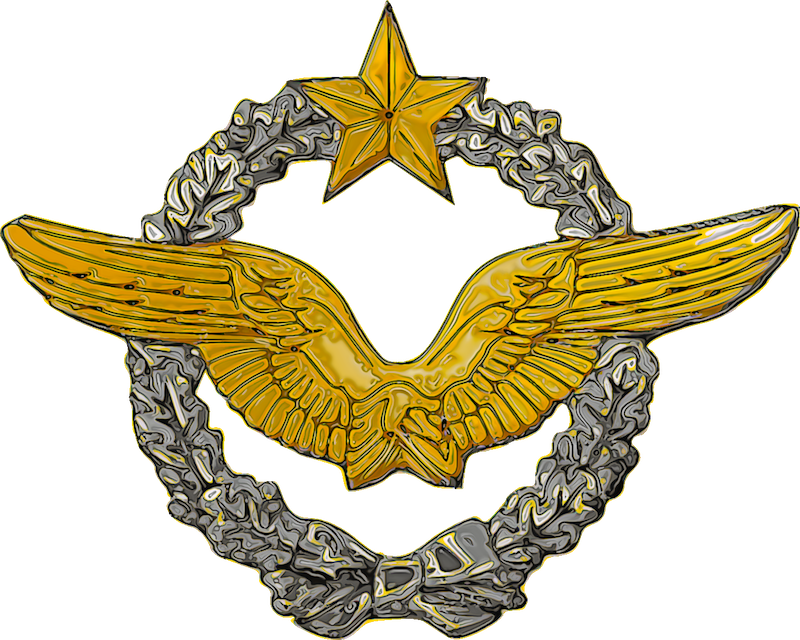 French Af Pilot Wings - French Military Pilot Wings (800x640), Png Download