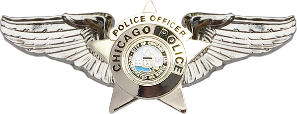 Chicago Police Pilot Wings - Pilotwings (598x230), Png Download