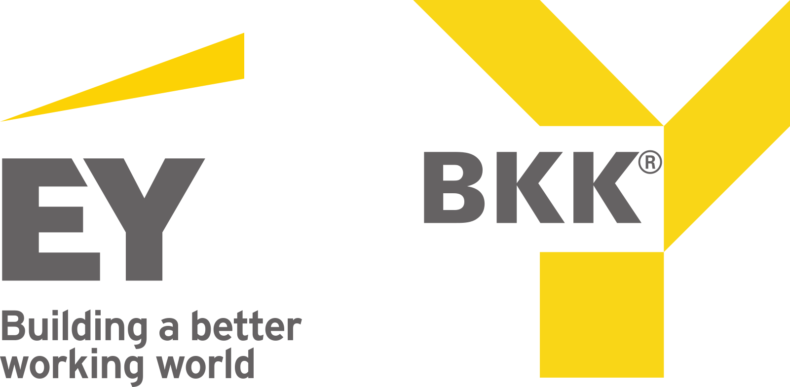 Download Ernst Young Bkk Logo Ernst Young Logo 2018 Png Image With No Background Pngkey Com
