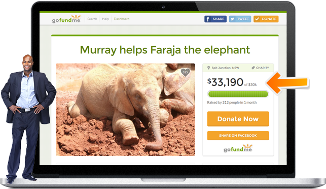 75-150 Tweets To Kick Start Your Campaign - African Elephant (650x390), Png Download