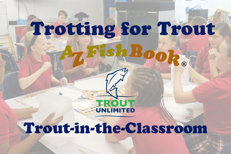 Make A Donation - Trout (750x500), Png Download