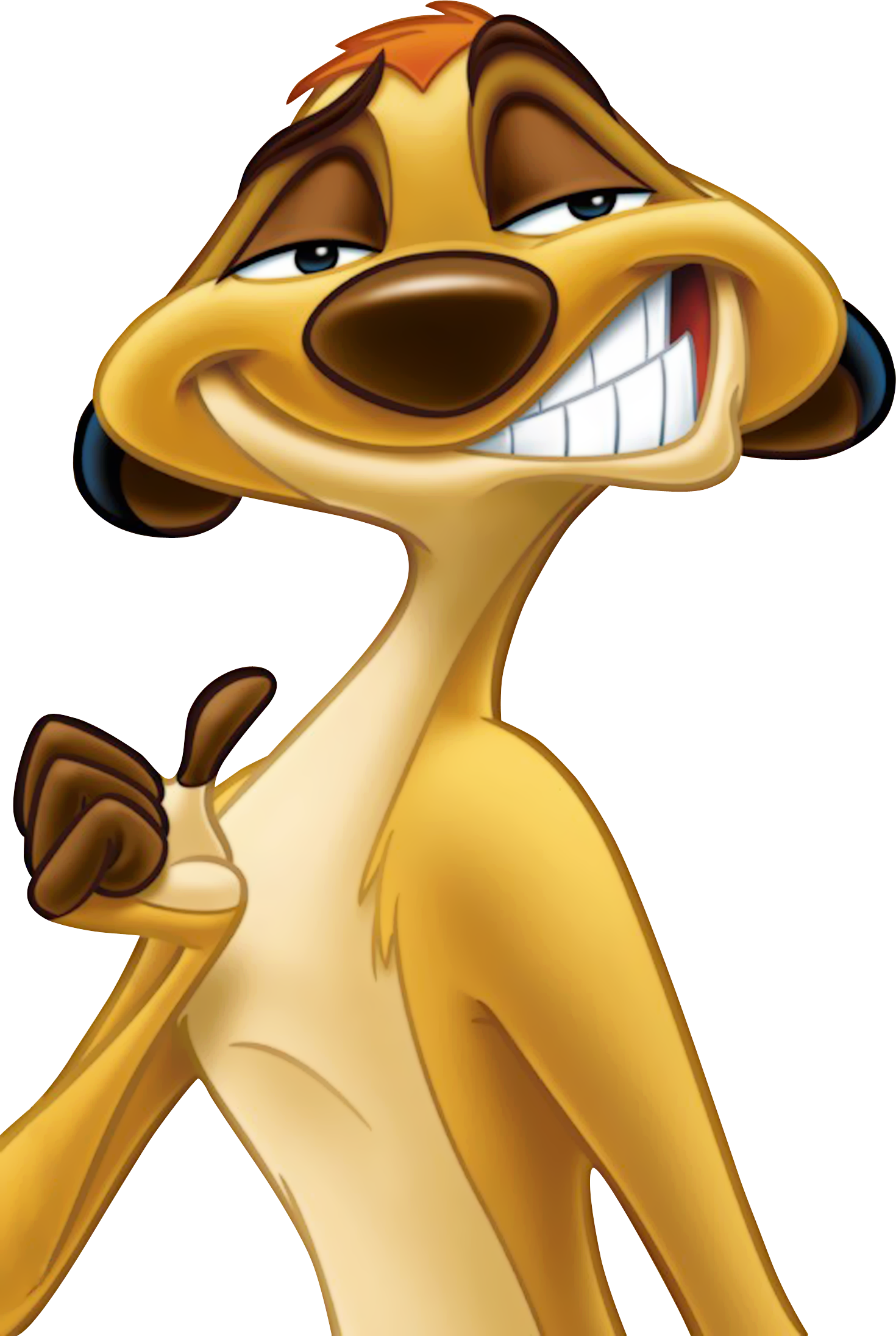Timon Lion King Png (1470x2190), Png Download