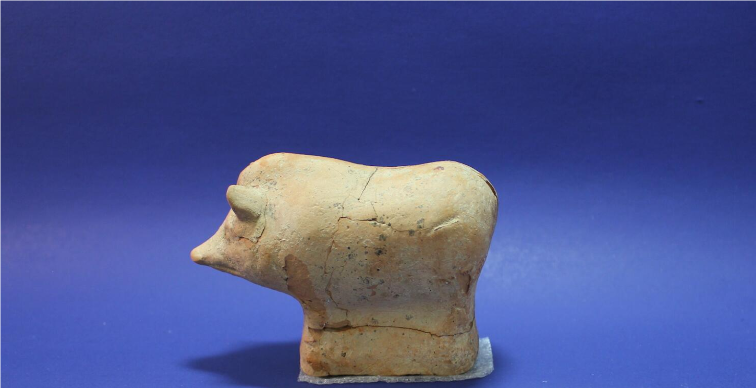 Download - Museum Of Classical Antiquities (1920x849), Png Download