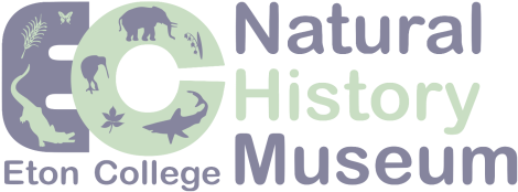 Etonnhm - Natural Way To Fat Loss: This Book Provides You The (1000x288), Png Download