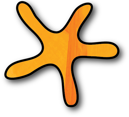 Orange Starfish (548x467), Png Download