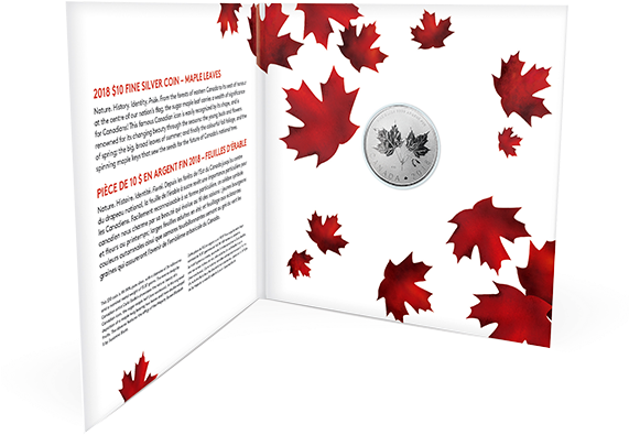 Maple Leaf (570x570), Png Download