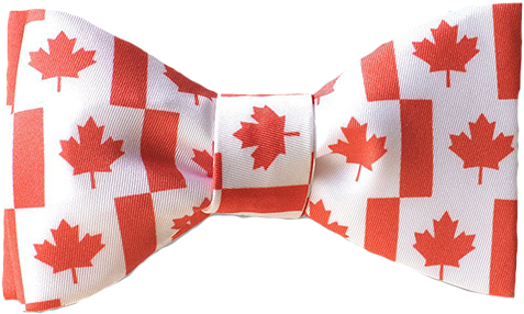 Canada Flag Maple Leaf Png For Kids - Canada Flag (500x319), Png Download