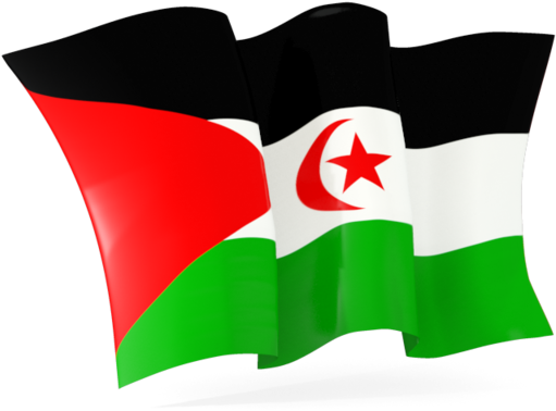 Download Flag Icon Of Western Sahara At Png Format - Burkina Faso Flag Waving (640x480), Png Download
