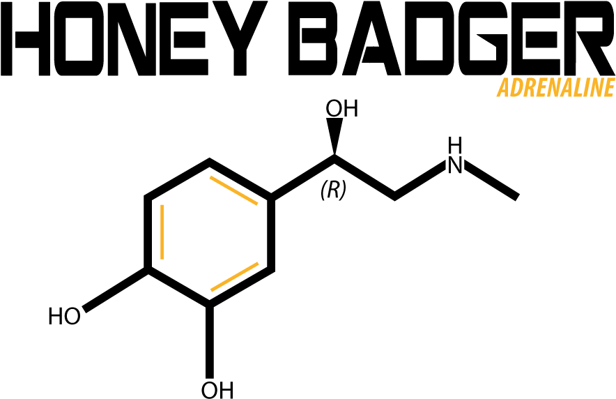 Modern, Professional, Fitness T-shirt Design For Honey - Diagram (1200x1000), Png Download